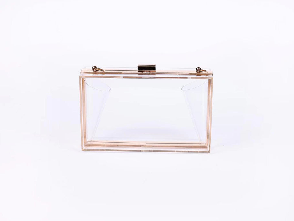 Clear Acrylic Purse