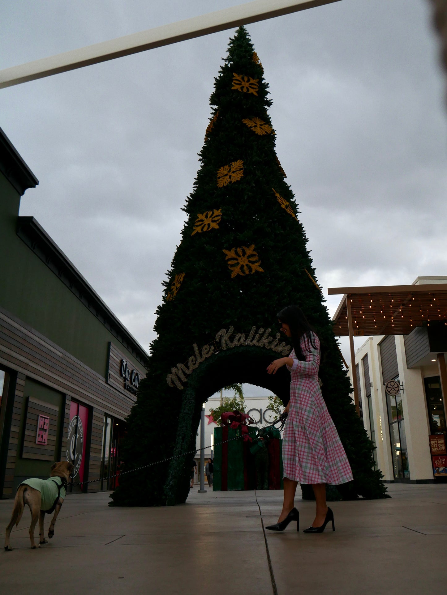 Zoe Dress - Palaka Kalikimaka - Holiday 2025