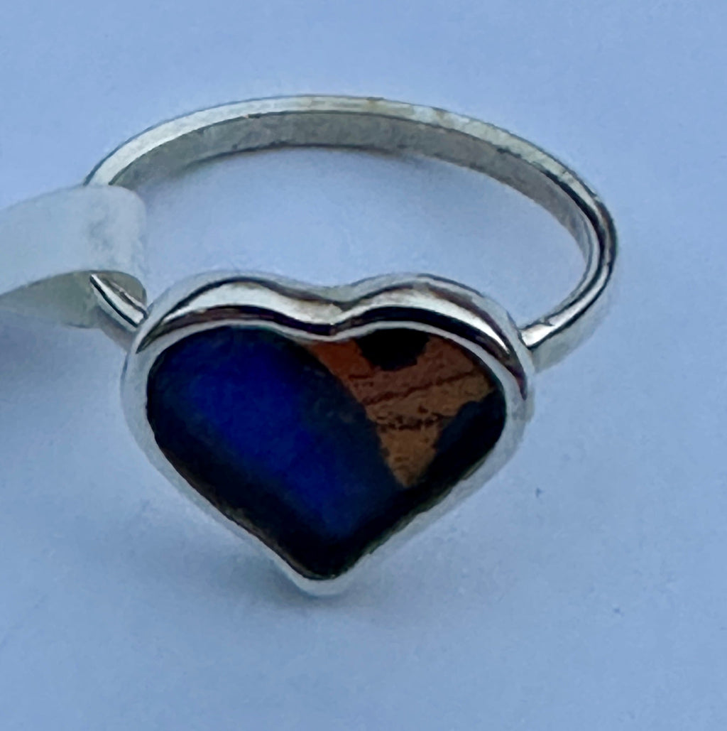 Morpho Ripheus Butterfly Sterling Silver Ring Size 7