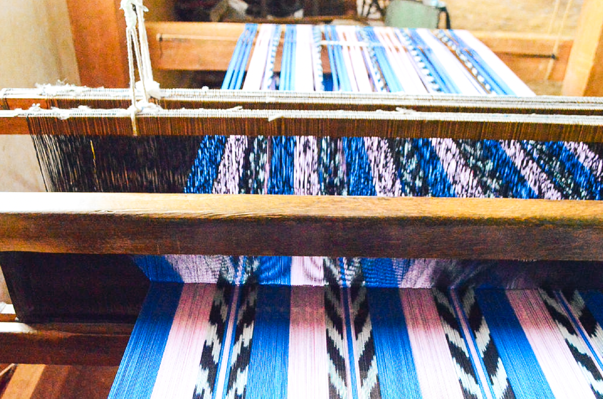 Palm Ikat Blanket in Blue & Pink