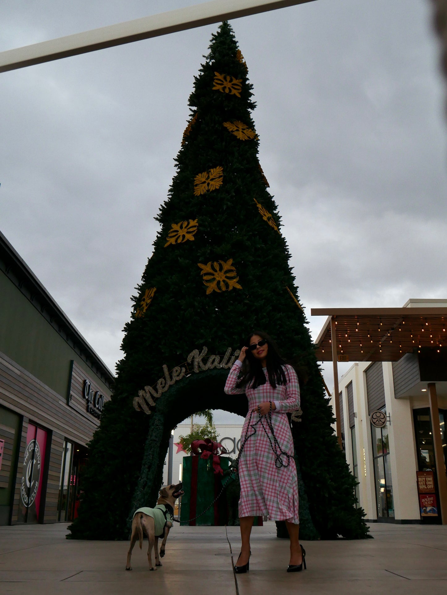 Zoe Dress - Palaka Kalikimaka - Holiday 2025