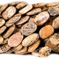 9mm Picture Jasper Plain Oval Beads, 14 inch