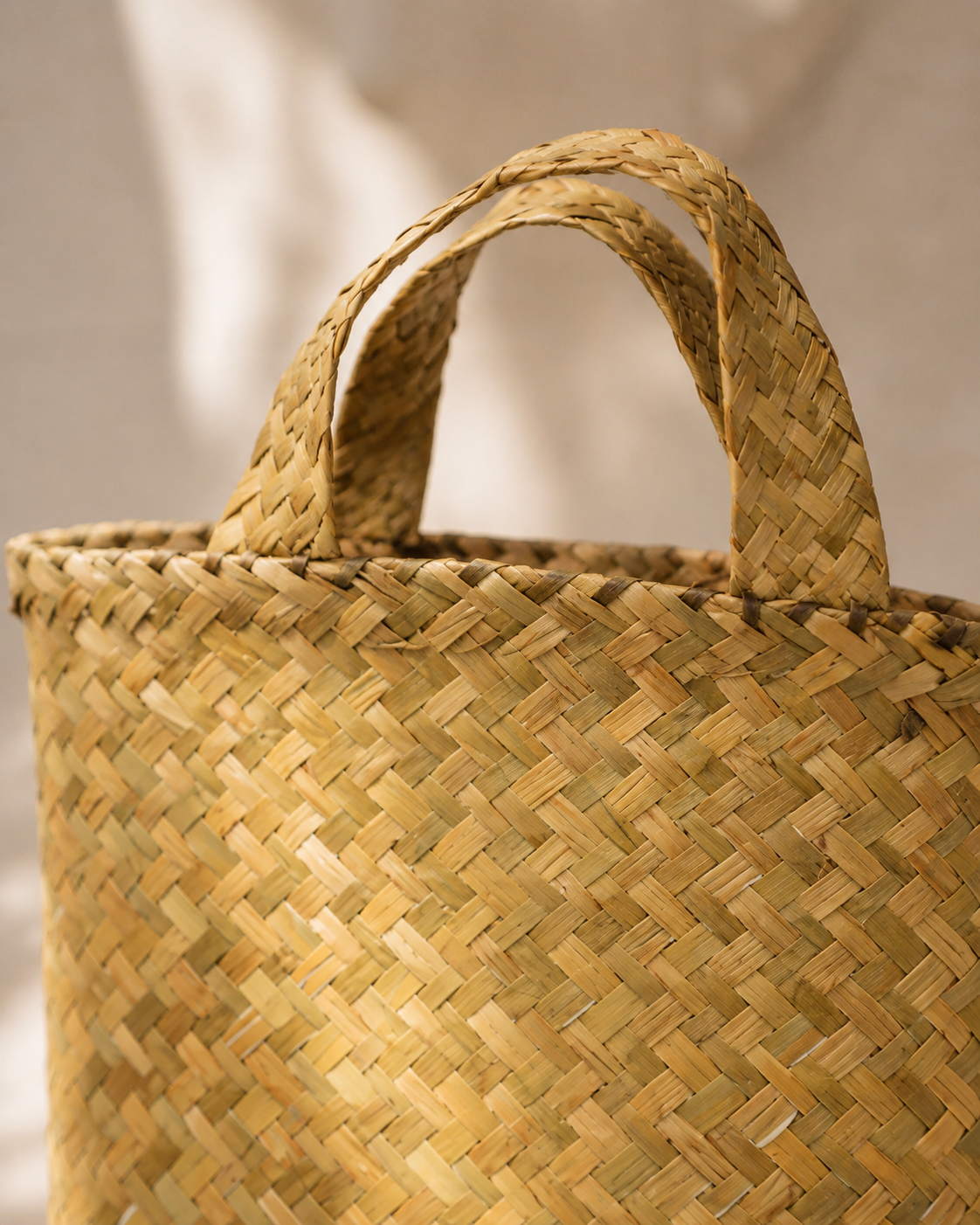 Isla Woven Handbag