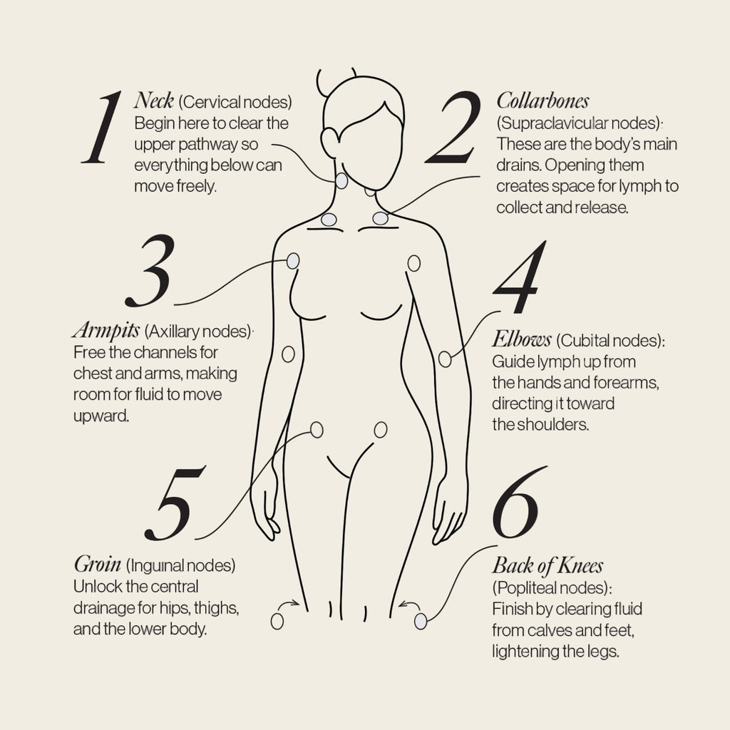 Lymphatic Drainage Dots