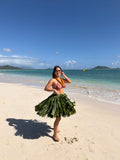 Skye Hibiscus Bikini Skirt Set