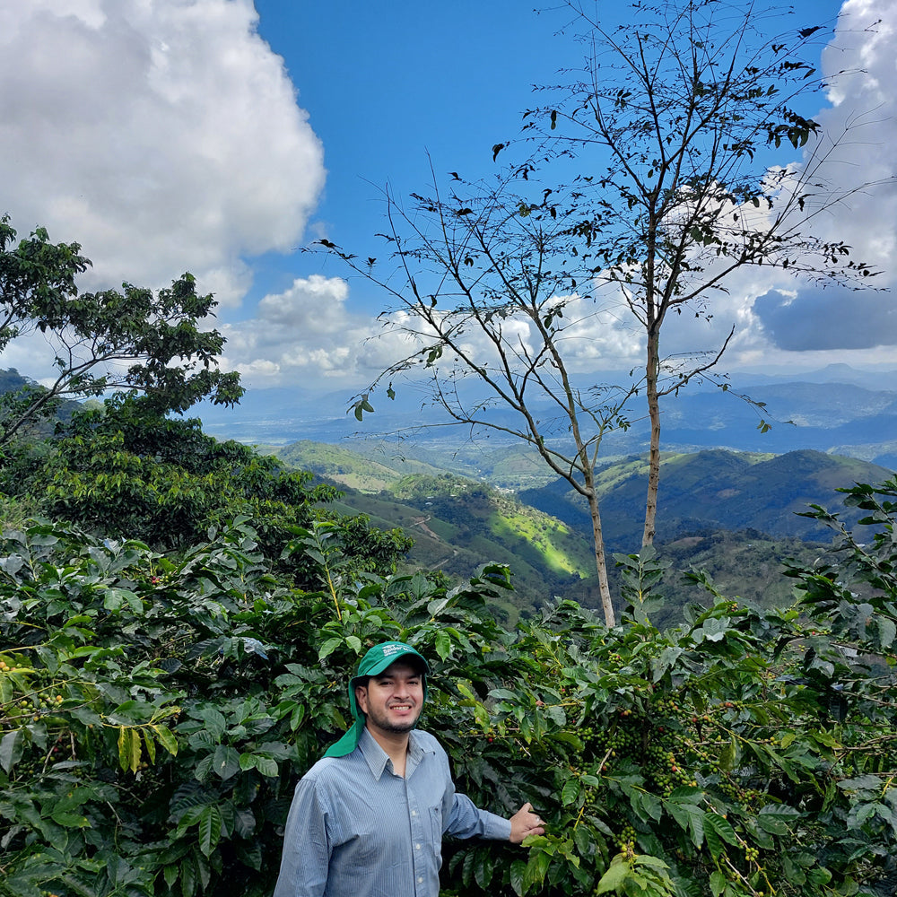 Honduran Espresso Blend Coffee + Grinder