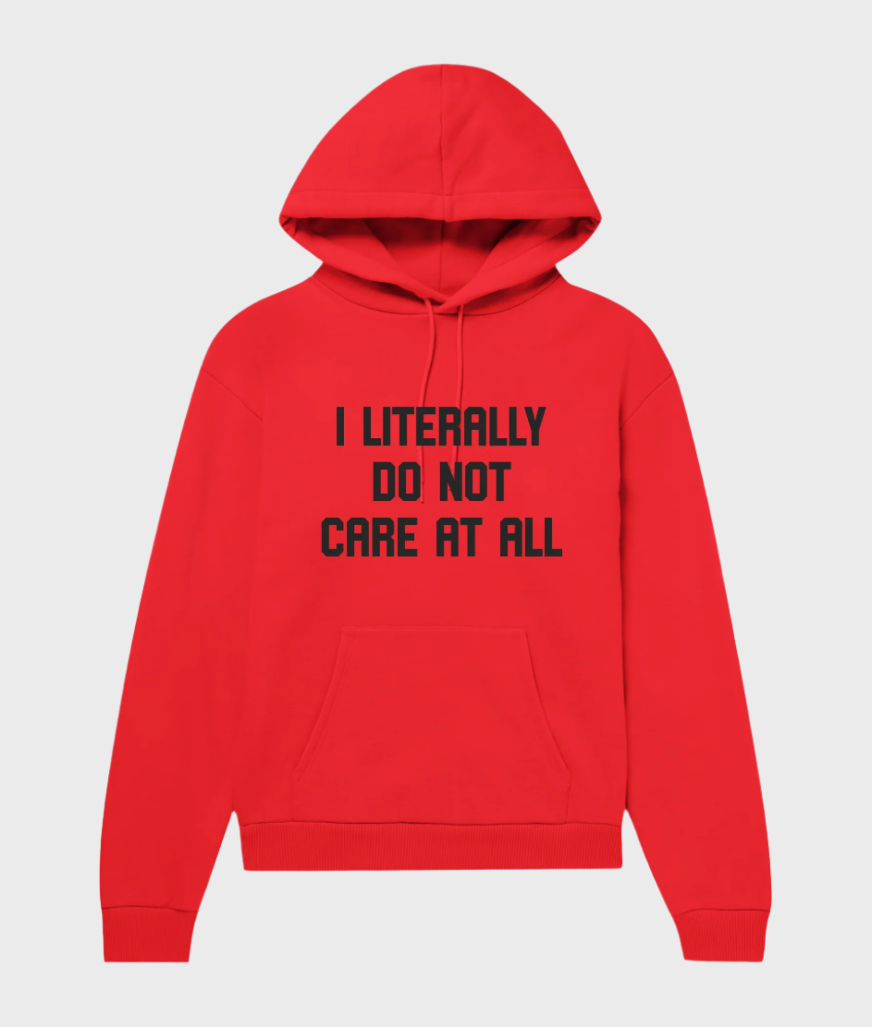I Literally Do Not Care Hoodie