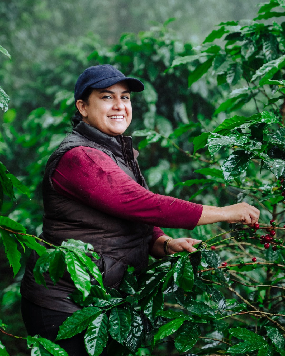 Honduras Monte Fresco Parainema Washed