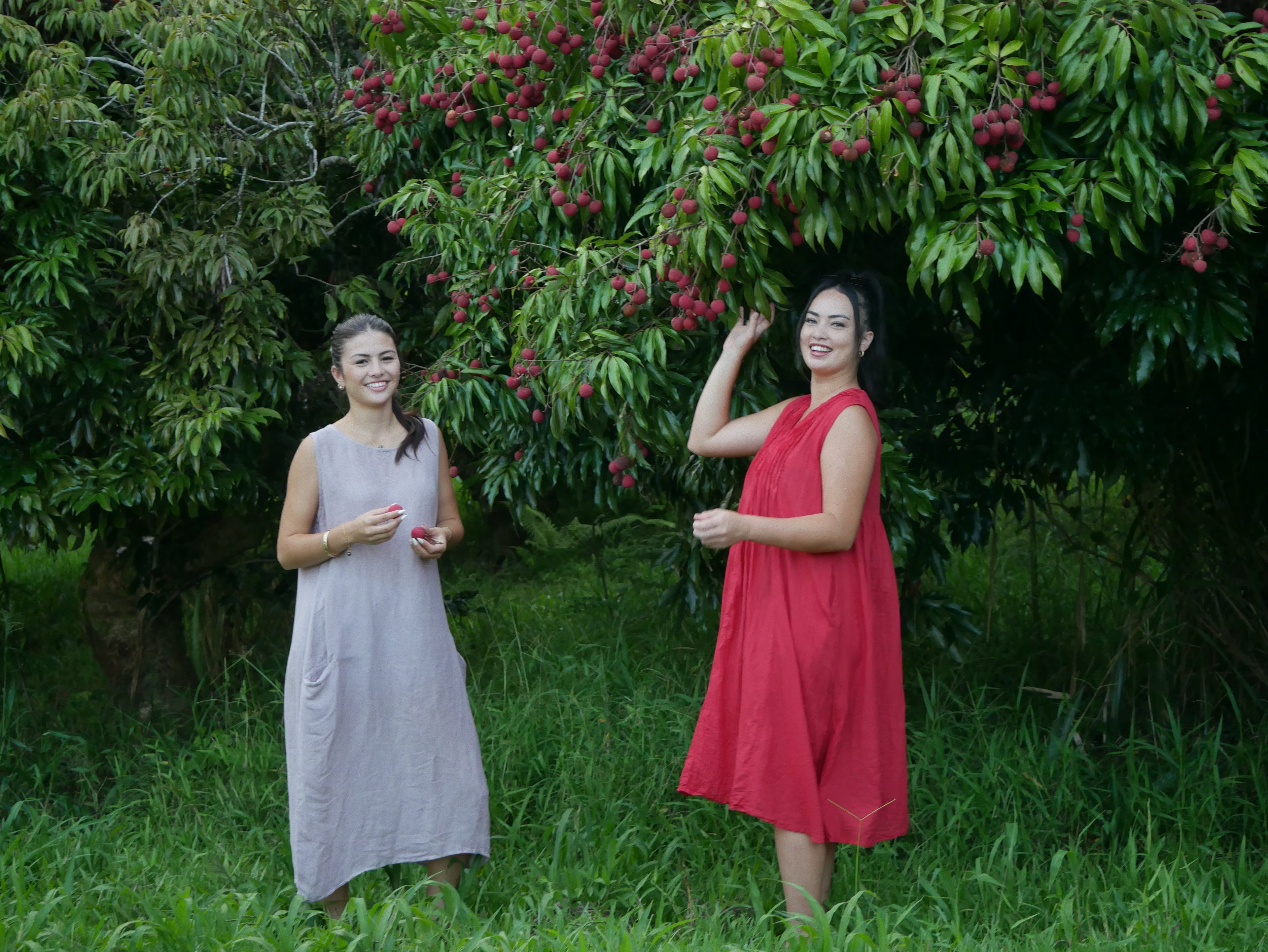 Model in a deep lychee-red cotton A-line dress with V-neckline and pockets, photographed on a Hilo farm.