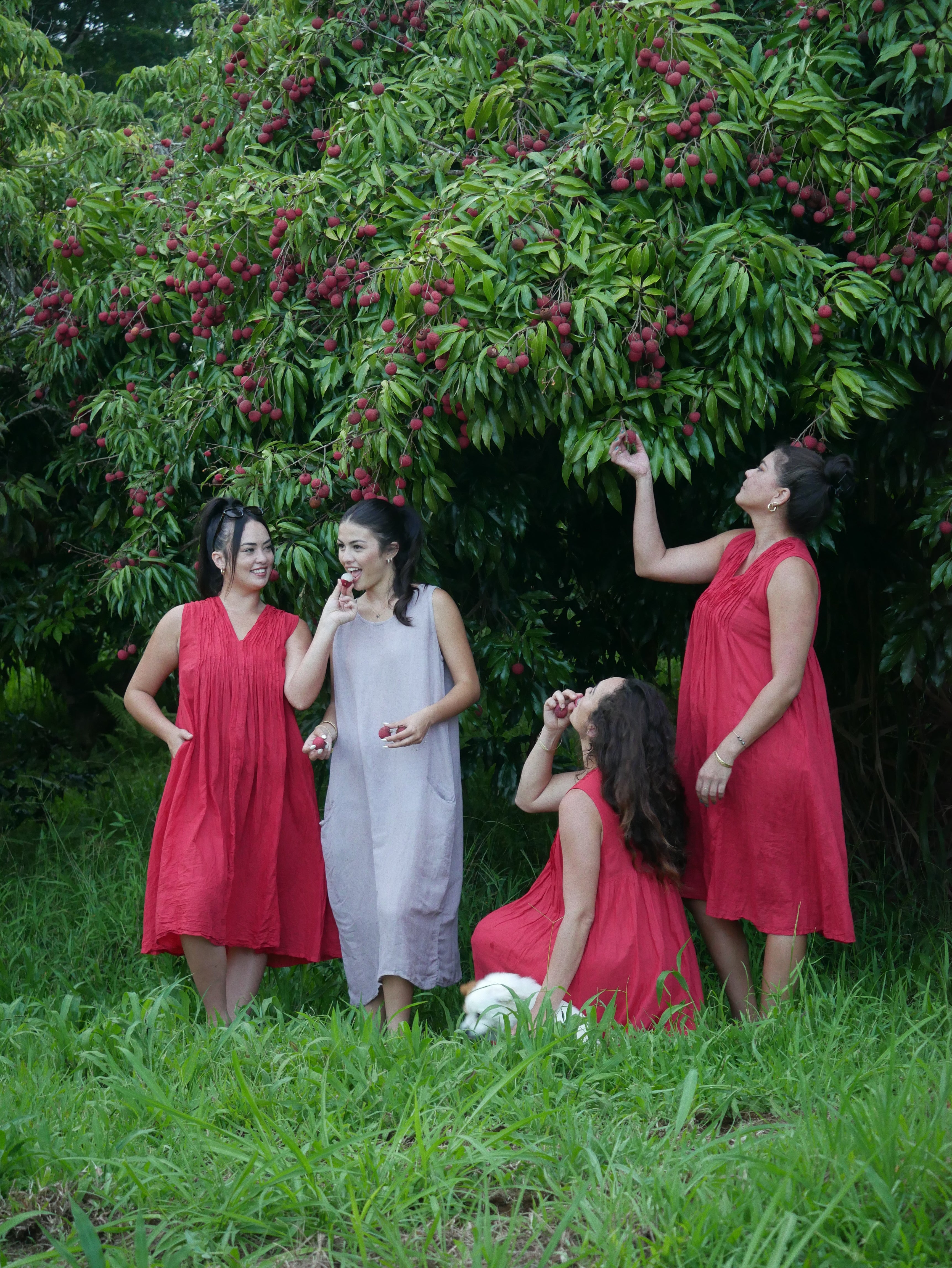 Model in a deep lychee-red cotton A-line dress with V-neckline and pockets, photographed on a Hilo farm.