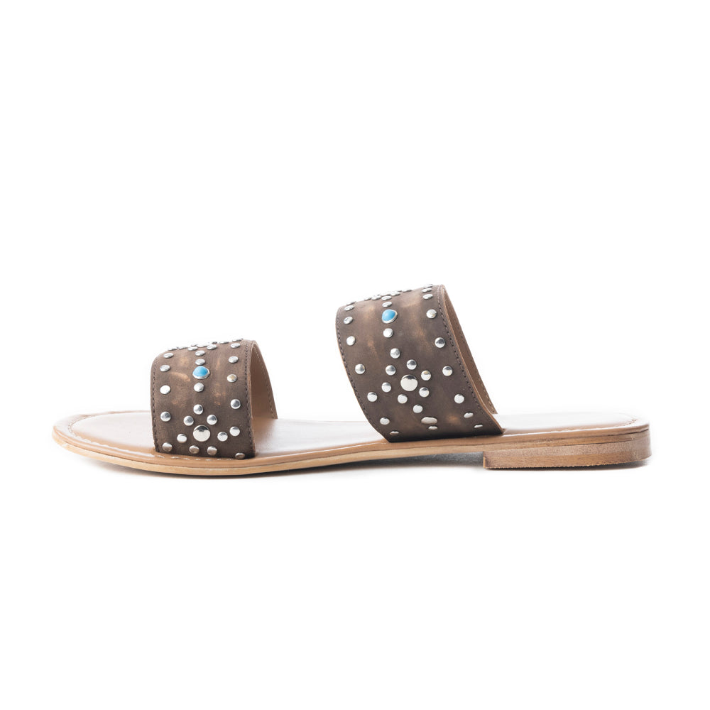 The Sagebrush Slides In Tan