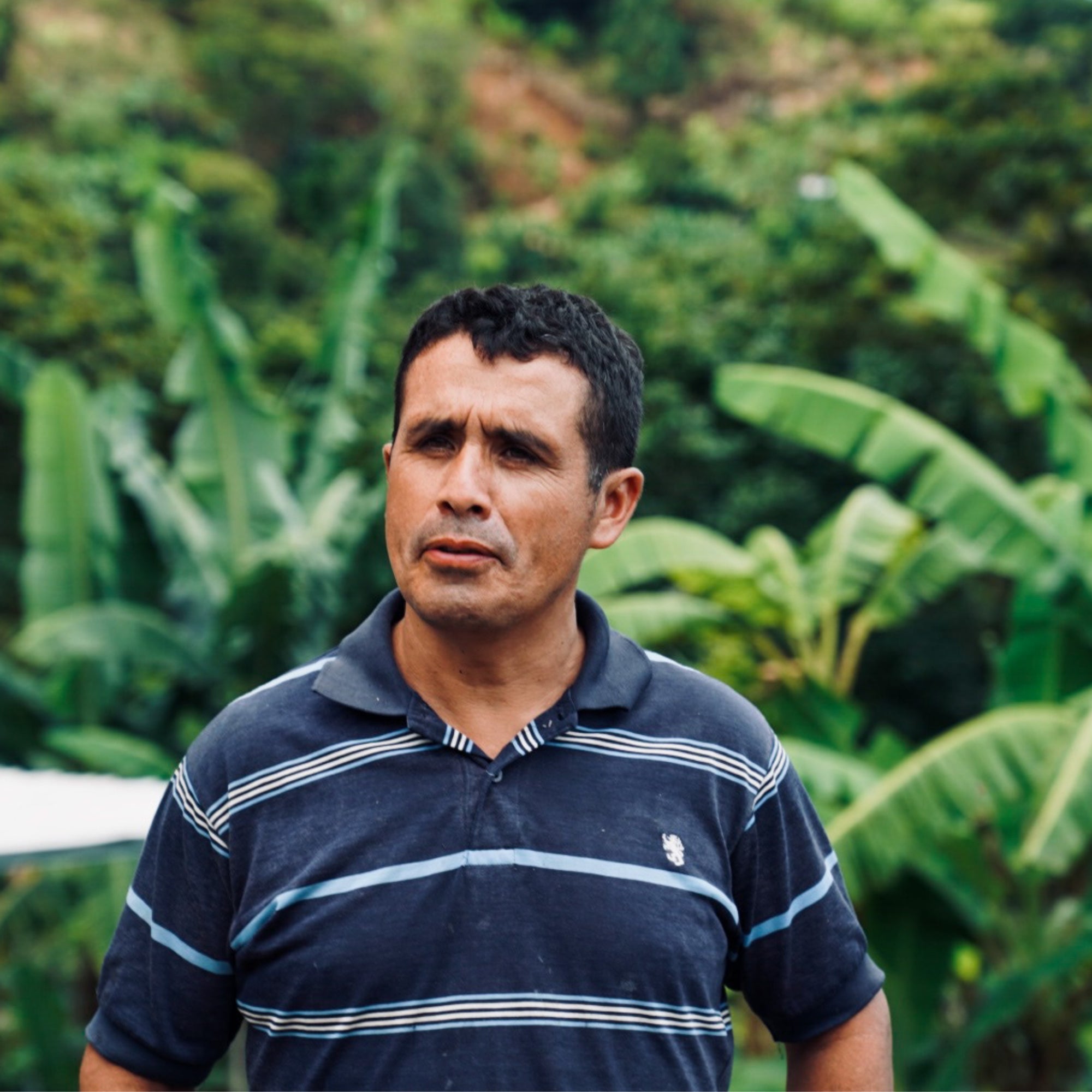 Honduras Dos Andres Gesha Washed