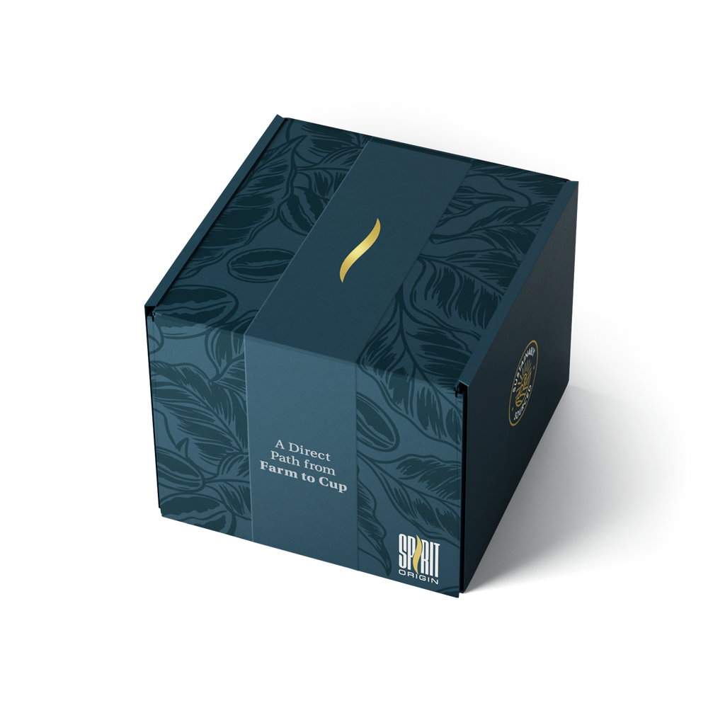 Single-Use Pour-Over Drip Bags - Parainema (Box of 10 Bags)