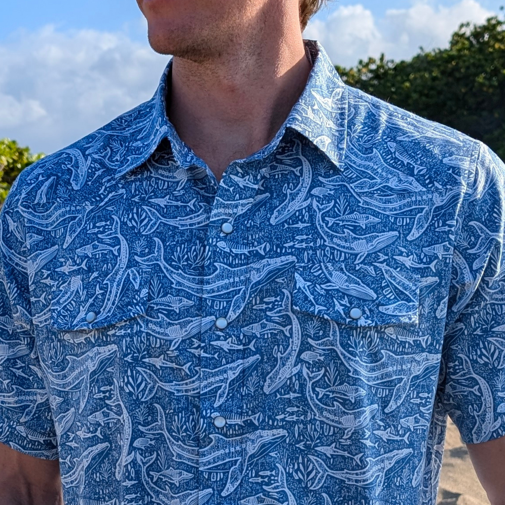 Humpbacks And Tigers