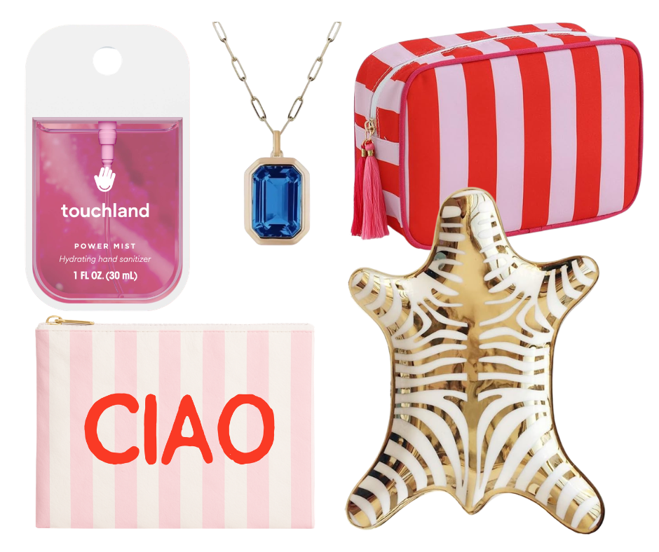 Cabana Stripe Pouch in Red