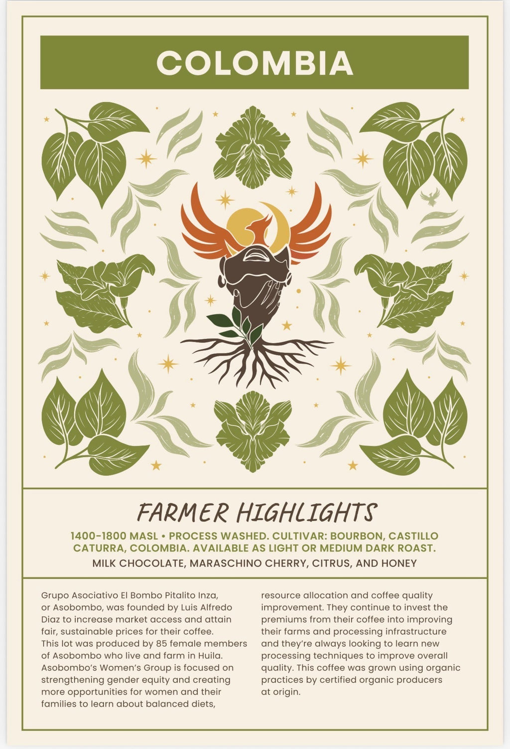 Colombia Coffee Light Roast ( Women Co Op) — Whole Bean Coffee