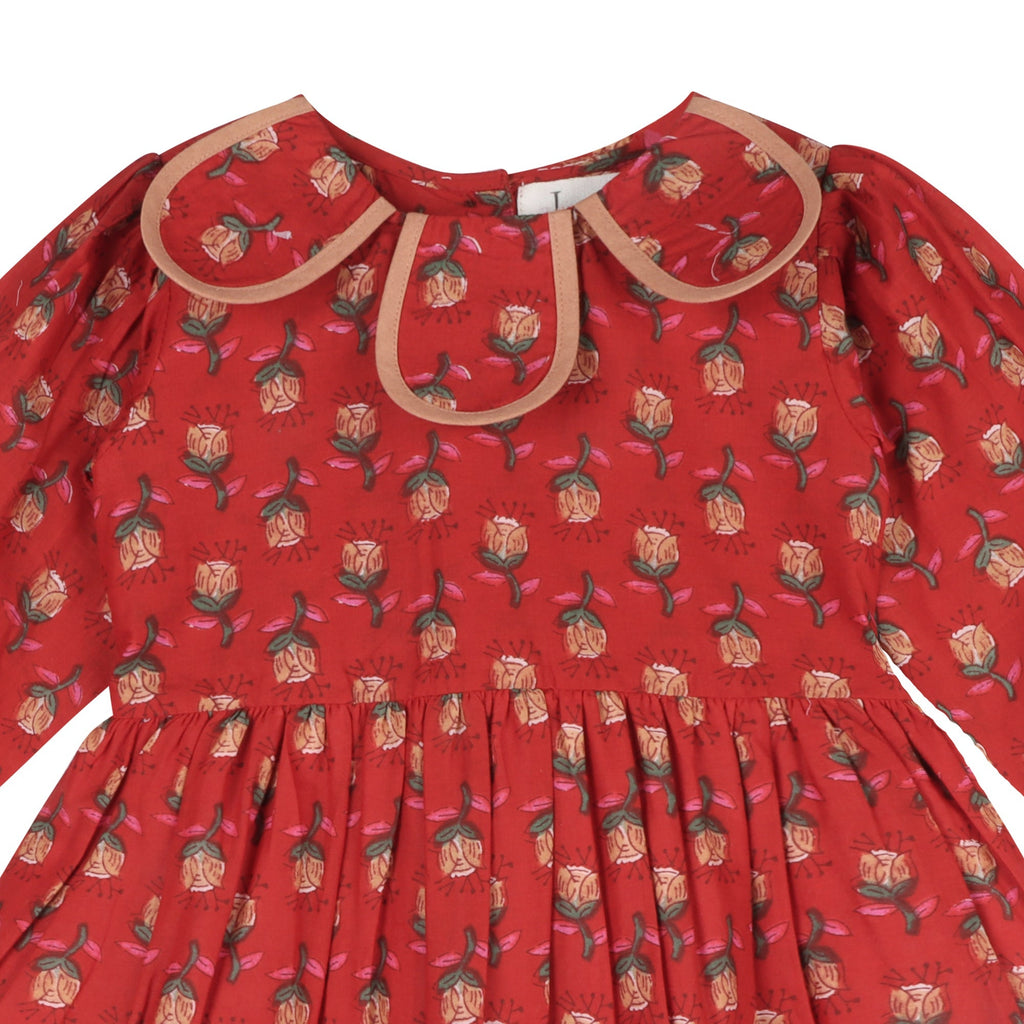 Crimson Garden Dress