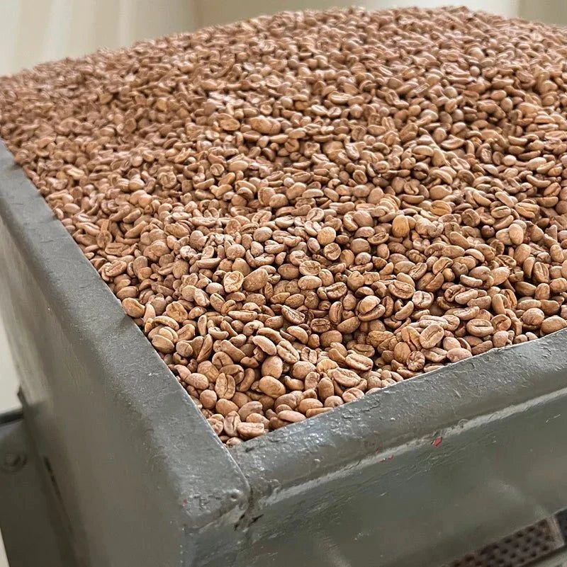 EL VERGEL DECAF NATURAL