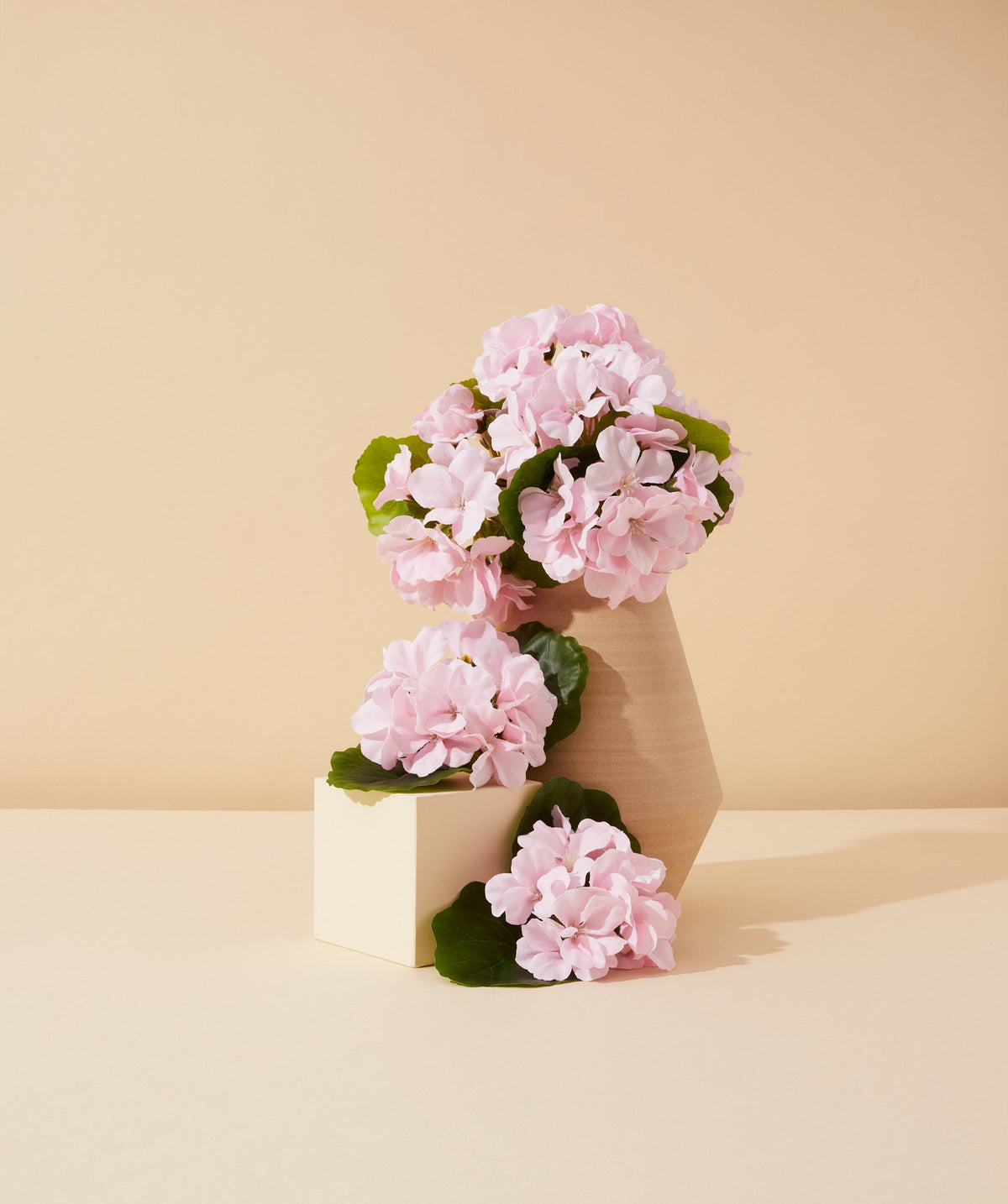 egyptian geranium essential oil