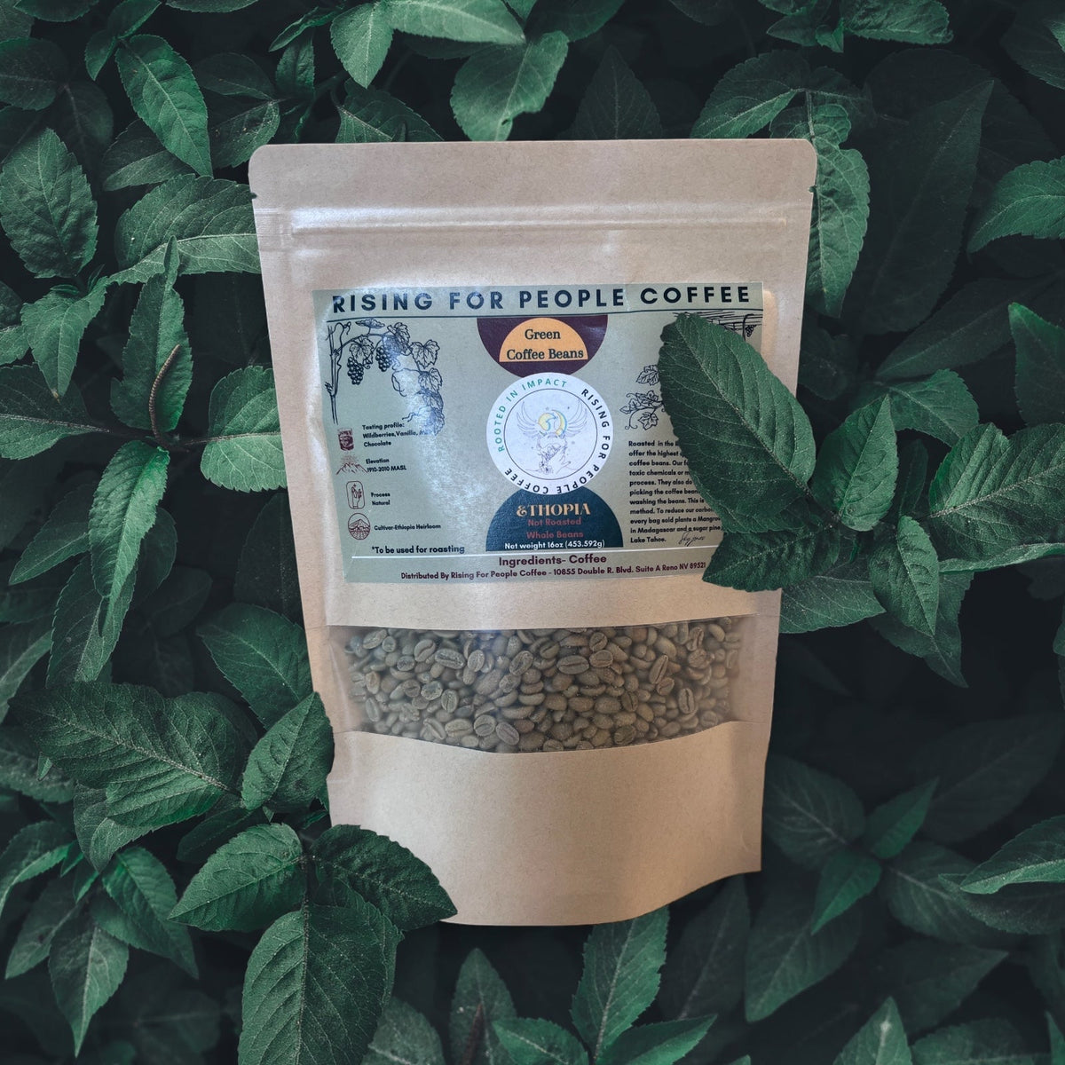 Ethiopia Natural Green Coffee Beans — Whole Bean Coffee