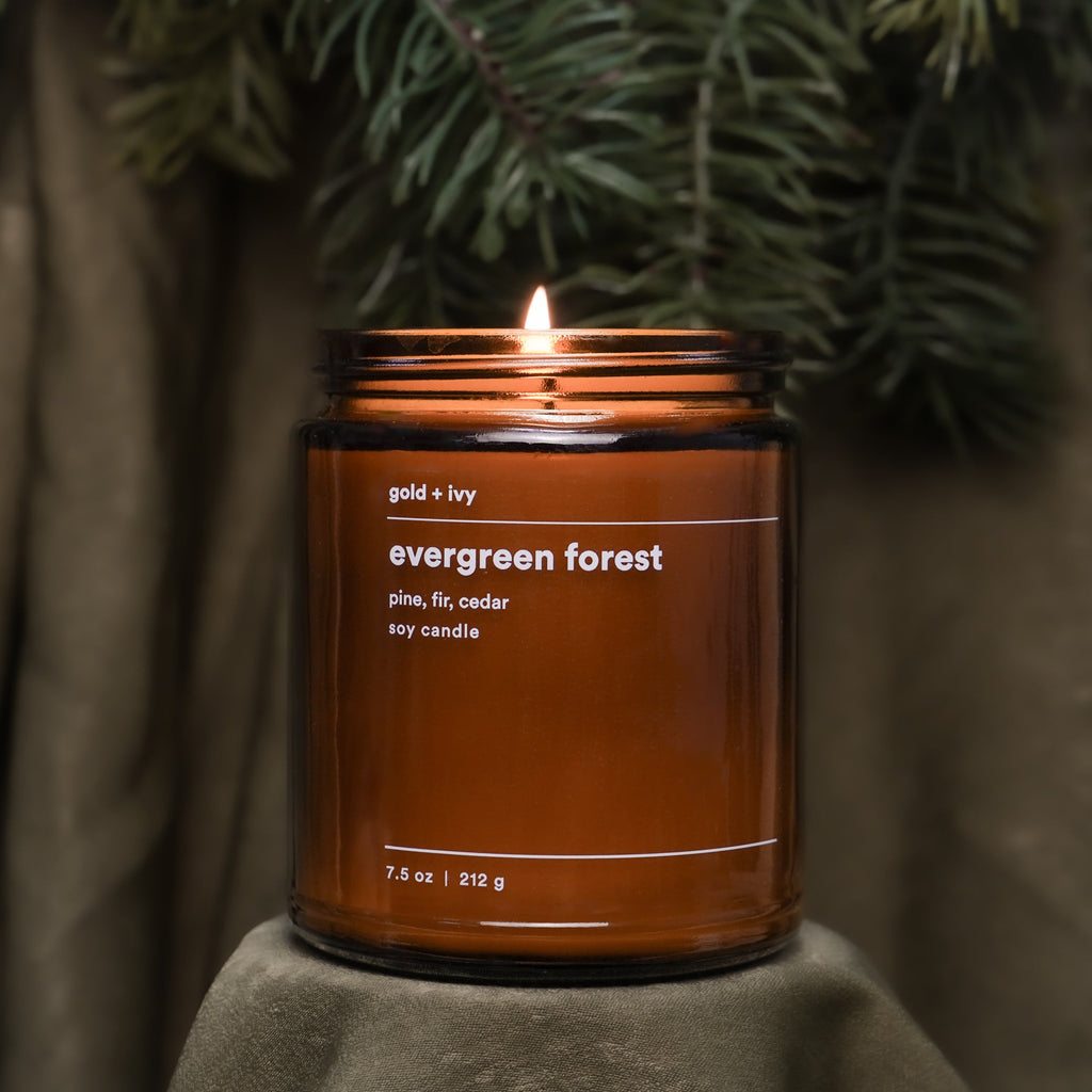 evergreen forest