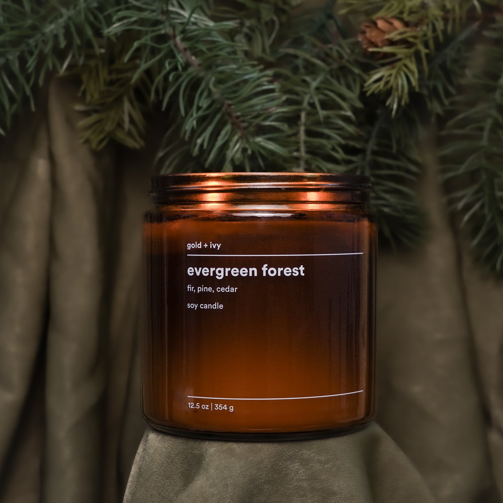 evergreen forest