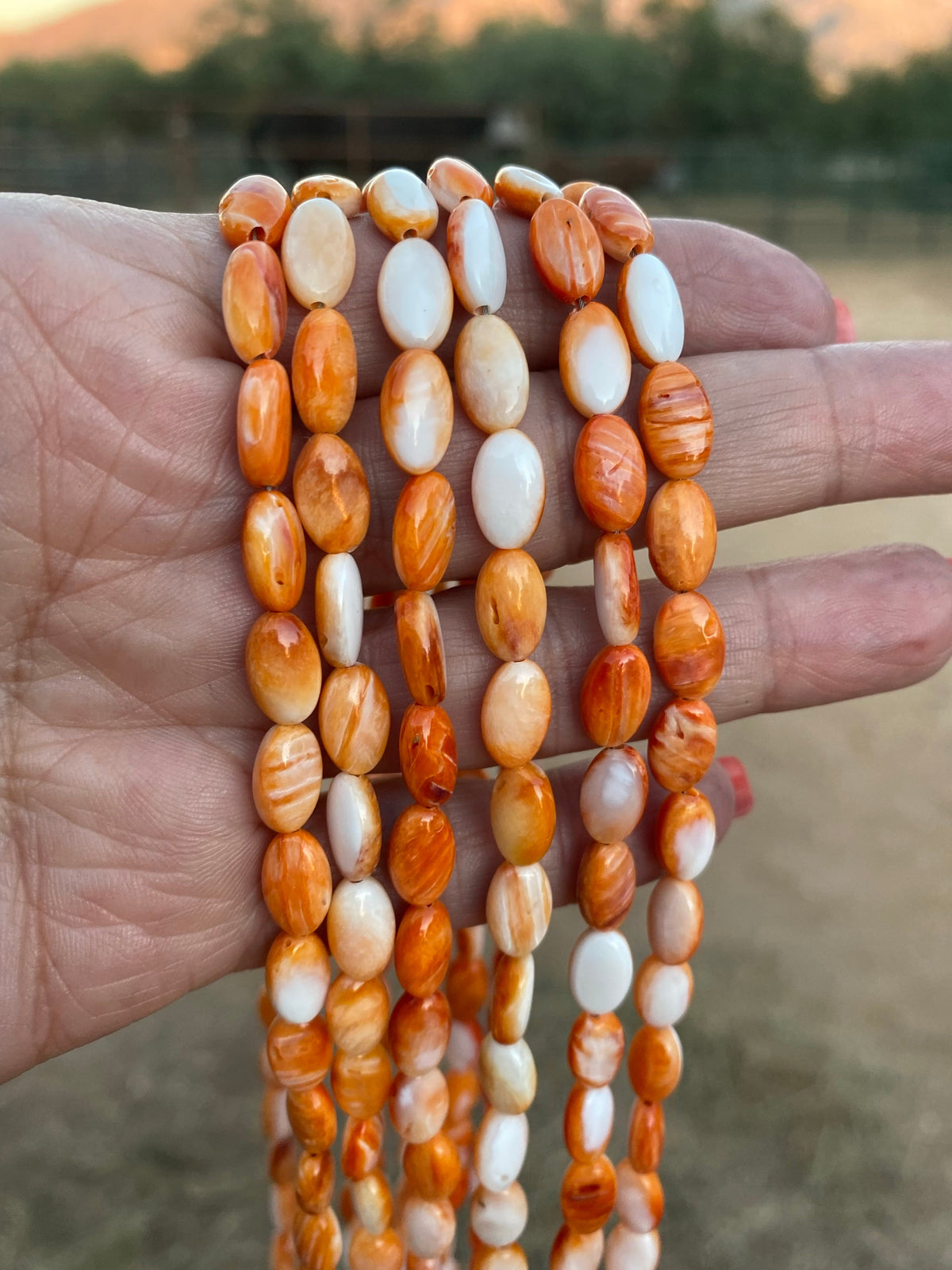 Handcrafted Spiny & Sterling Silver 16 inch Beaded Necklace