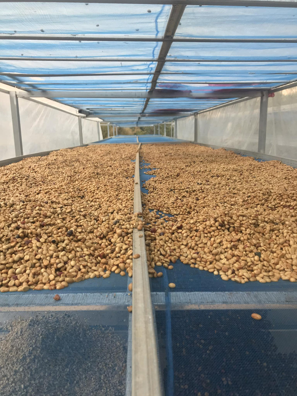 NAWIN DOI CHANG WASHED