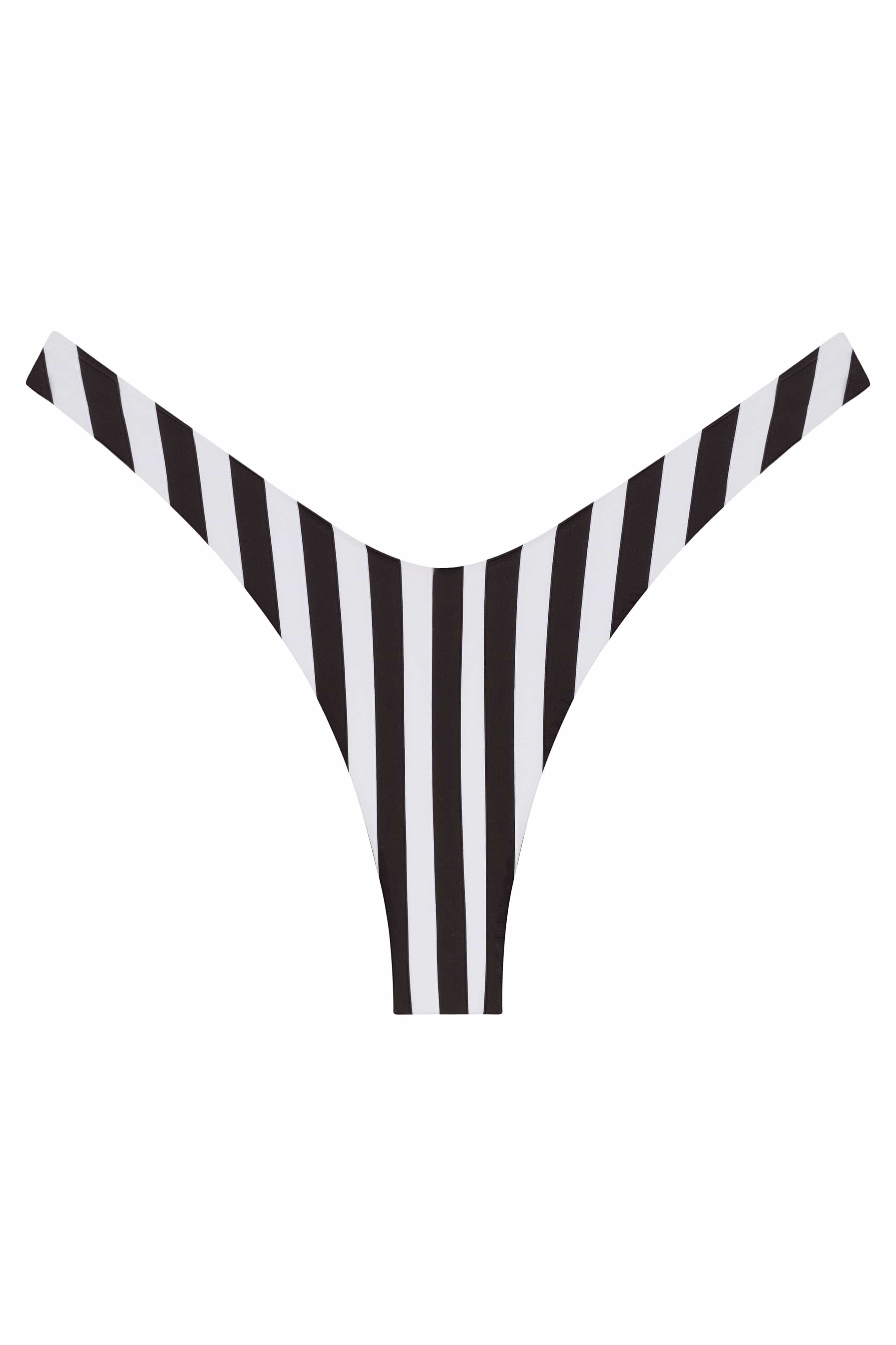 Ludisia Bottom