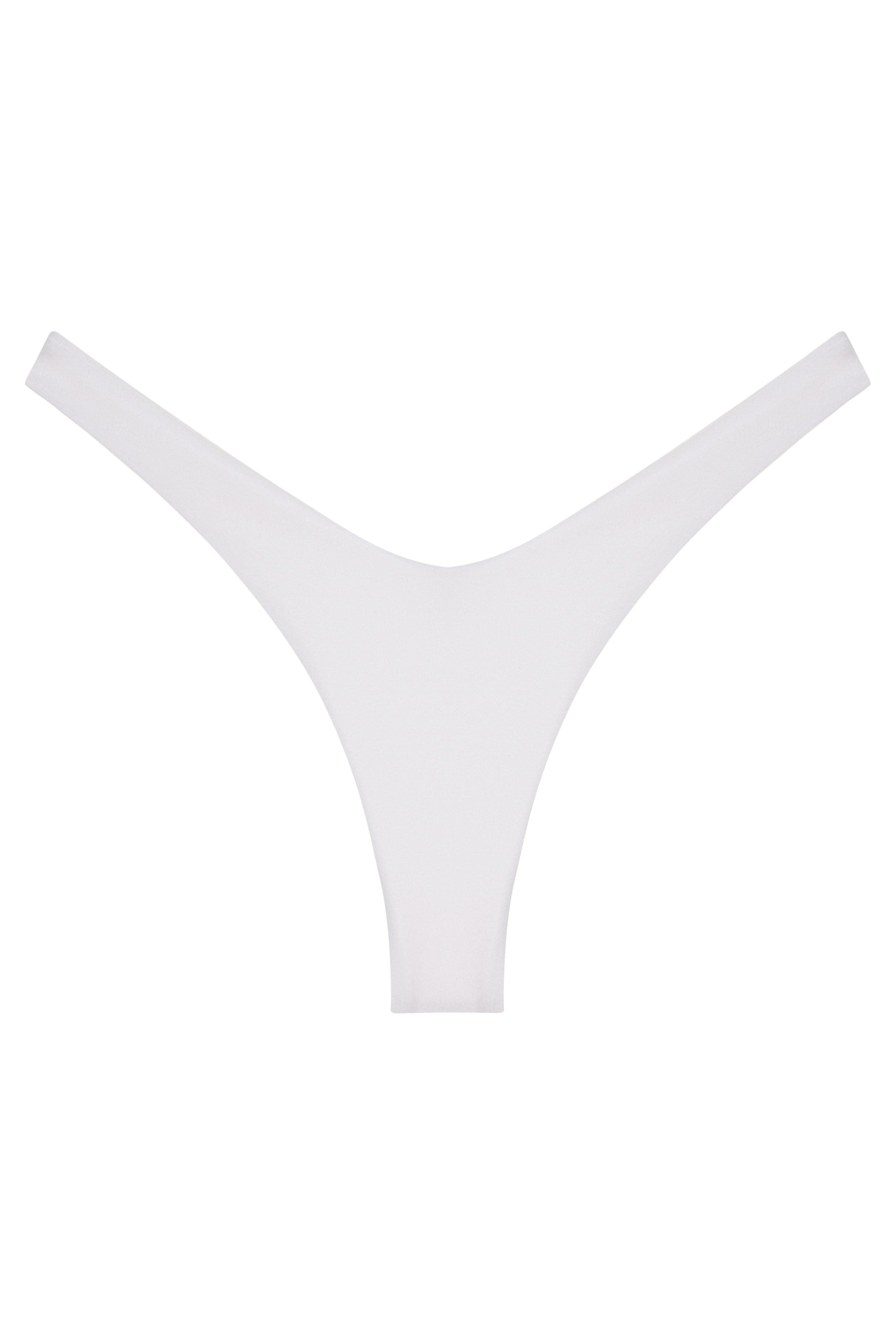 Ludisia Bottom