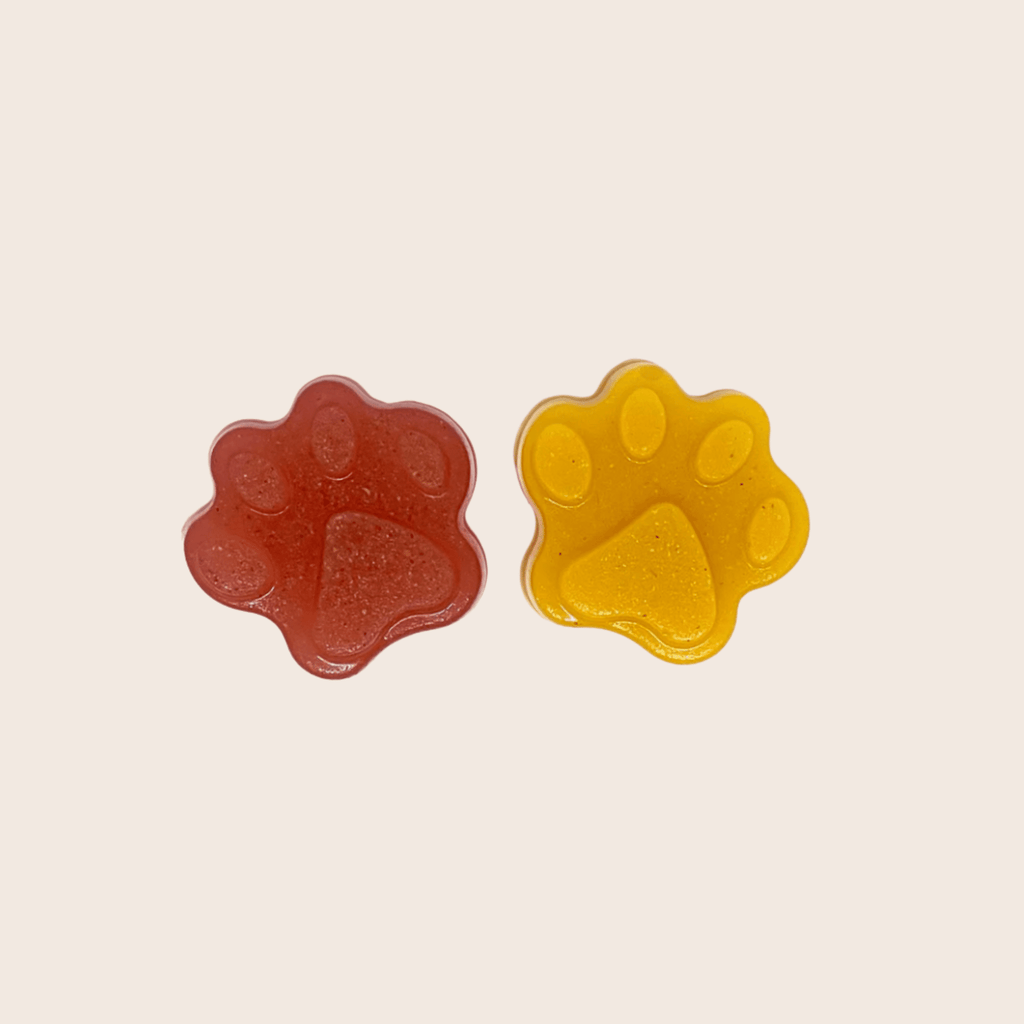 Pet Treat Molds