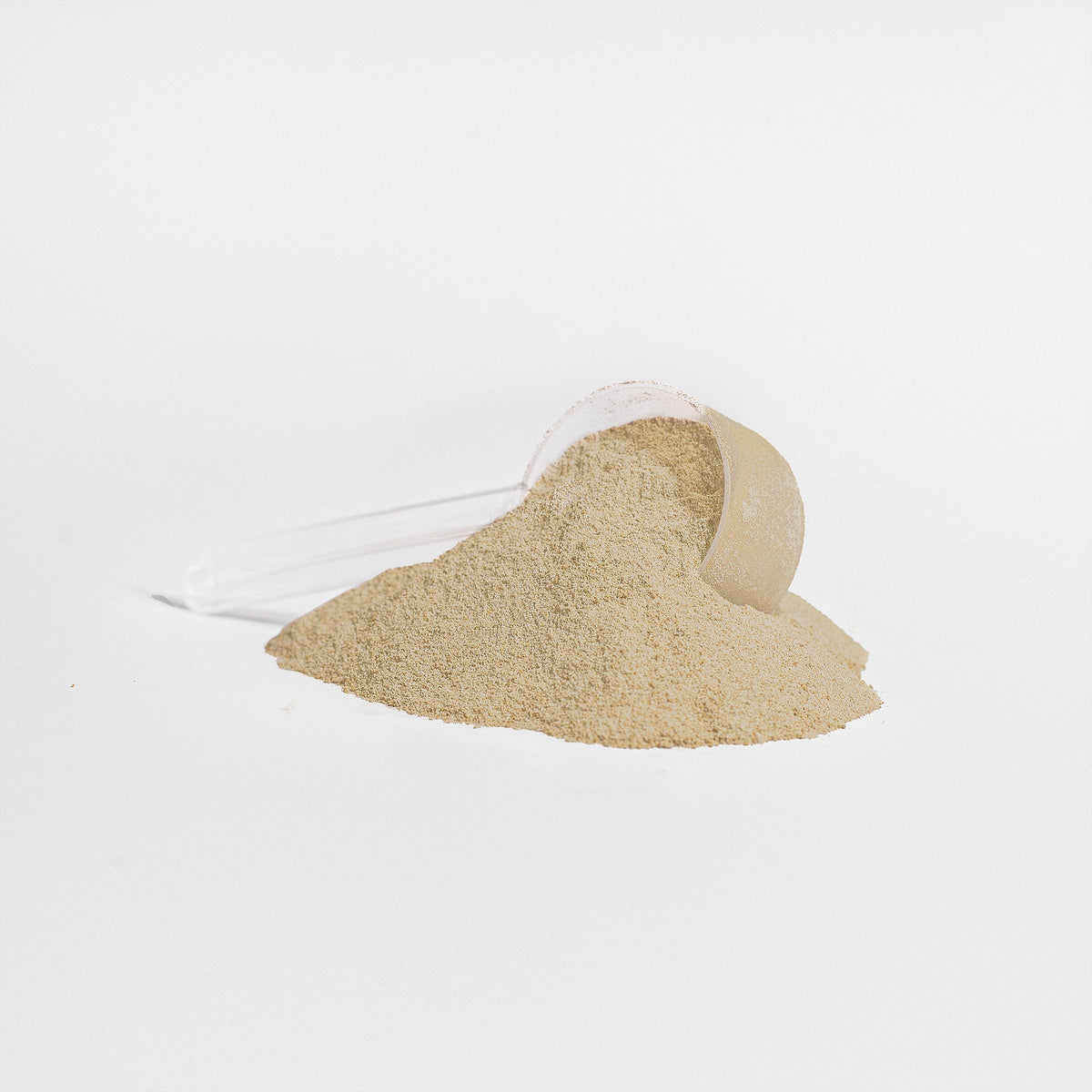 Plant Protein (Vanilla) — Whole Bean Coffee