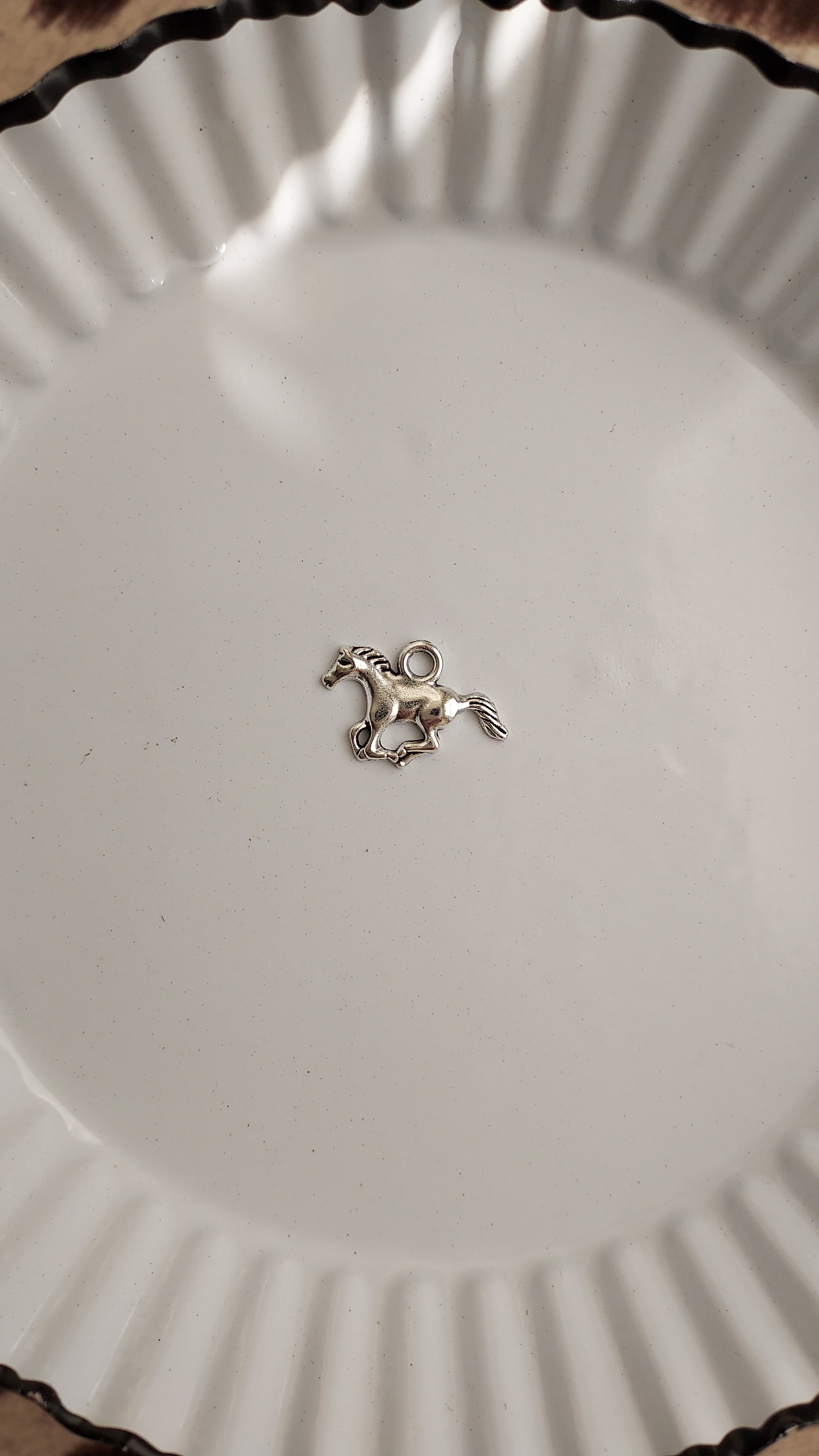 Out West Charm Necklace