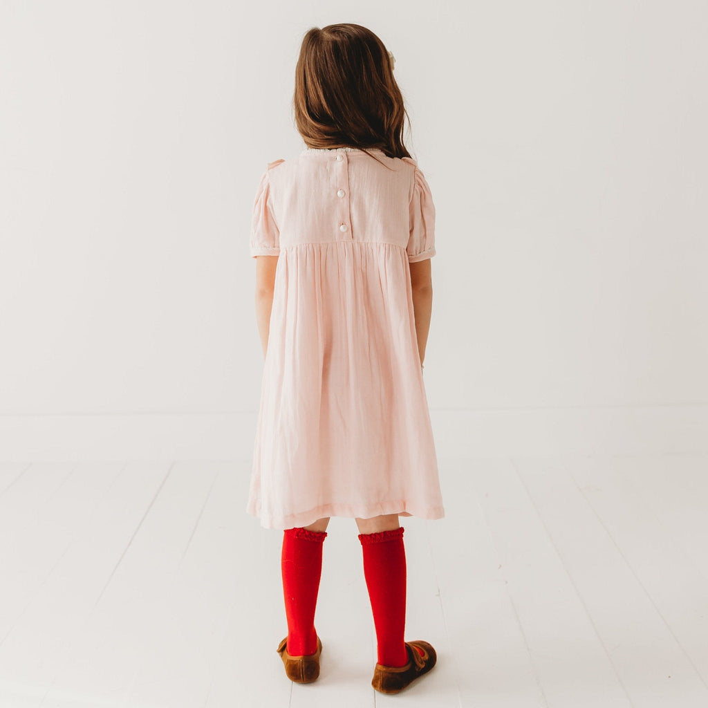 Strawberry Embroidered Dress in Pale Pink